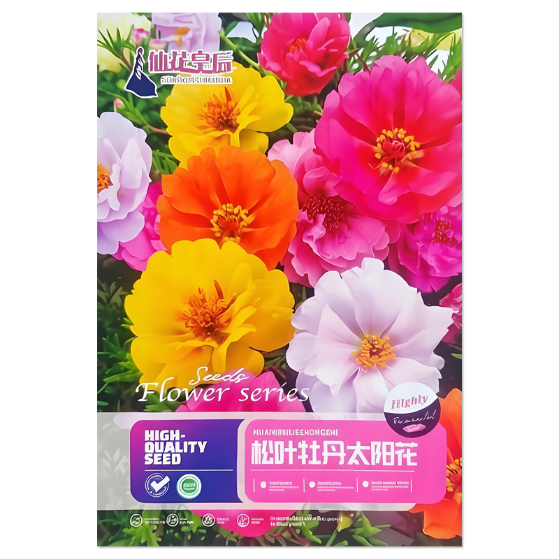 松叶牡丹太阳花种子花卉种子