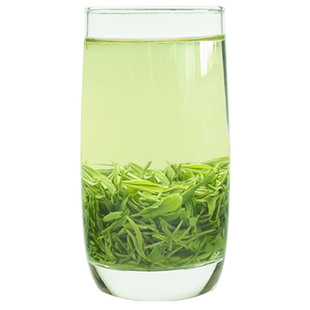 信阳毛尖2025新茶雨前茶特级一芽一叶茶叶绿茶浓香型散装春茶500g