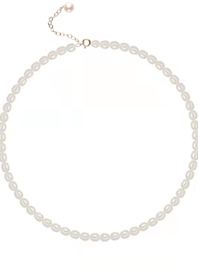 轻奢高级五月定制项链锁骨链颈链