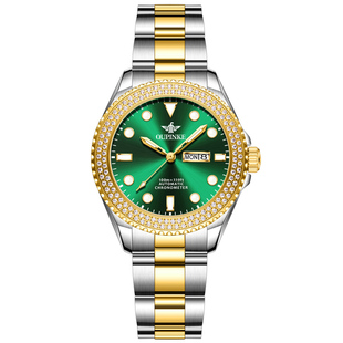 绿水鬼瑞士认证官方正品牌手表女士全自动机械表进口芯高档轻奢华