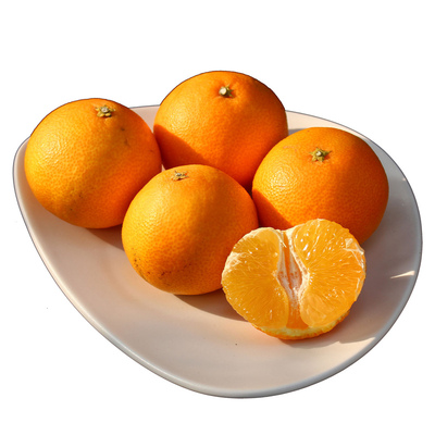 池见爱媛28橘子柑橘蜜橘子