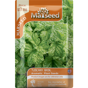 【掌柜推荐】进口新品Tuscany Basil 托斯卡纳皱叶罗勒种子