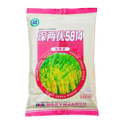 亚华深两优5814高产杂交水稻种子