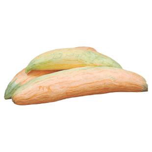 糖果烘焙师南瓜种子焦糖坚果味超甜耐储存传家宝春秋阳台易种盆栽