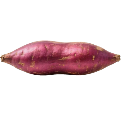 天津正宗岳龙红瑶蜜薯 软糯香甜当季新鲜番薯已糖化地瓜考红薯