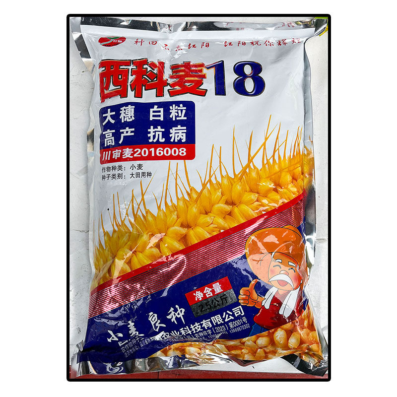 西科麦18【2.5kg】原袋装小麦子种子白色颗粒面粉面条大田用种绵