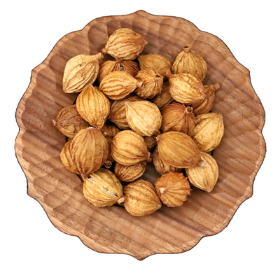 香砂仁50g沙仁川砂仁阳春春烧菜