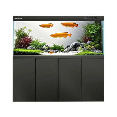 闽江桌面玻璃鱼缸客厅超白底滤