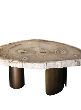 沙发桌会所别墅设计师推荐款客厅石头桌亿年木化石材质天然硅化木