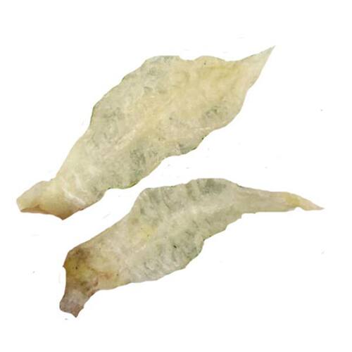 广西北海巴沙鱼胶条小龙胶酒店餐饮芒鱼胶水发油发淡水胶干货一斤