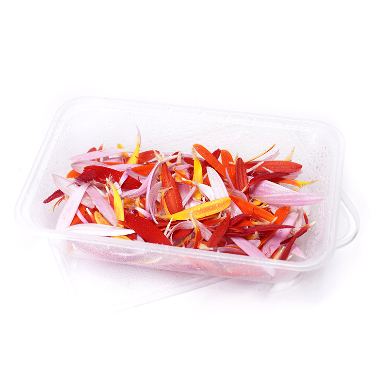 金盏丝甜品蛋糕装饰烘焙用草叶子新鲜太阳花花菊西餐摆盘花草点缀