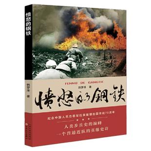 愤怒的钢铁 韩梦泽 正版书籍小说畅销书 纪念中国人民纪念军抗美援朝出国作战70周年 百花文艺