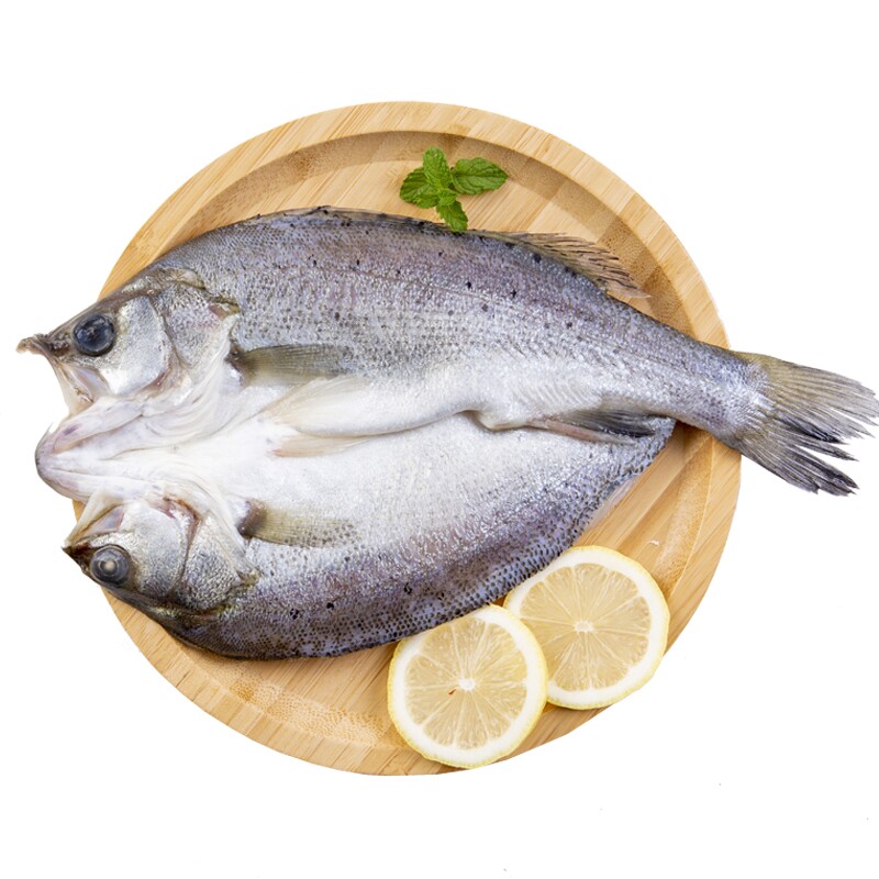 开背海鲈鱼去鳞去内脏七星鲈鱼免处理活鱼加工蒜瓣肉质烤鱼食材