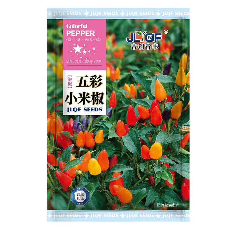 五彩椒种子七彩椒种籽