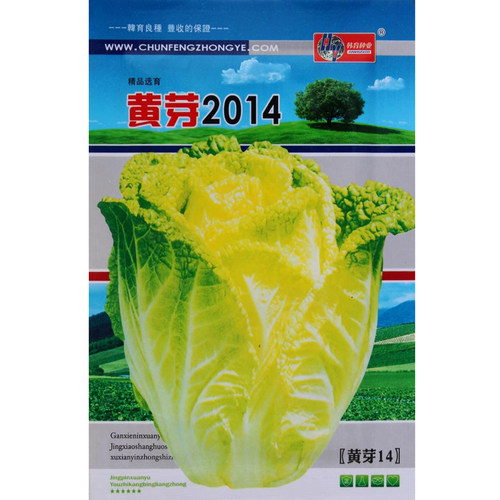 四季蔬菜种子 快菜黄芽 脆嫩好吃 白菜种子嫩磕口火锅佳菜 小白菜