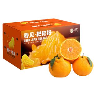正宗四川丹棱春见耙耙柑10斤大果粑粑柑新鲜水果桔子整箱顺丰包邮