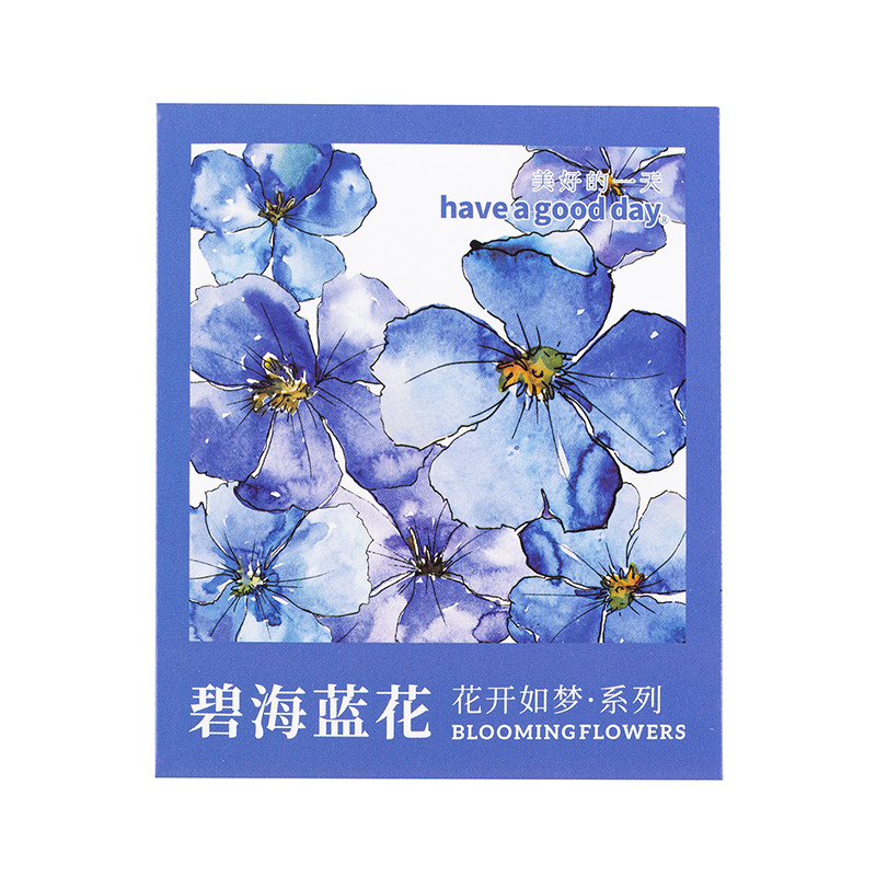 手账pet拼贴画水彩花朵绣球蔷薇