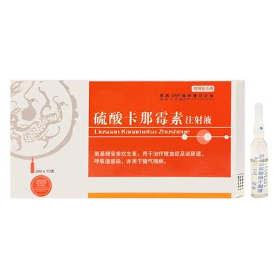 狗狗咳嗽打喷嚏流涕猫狗流感咳嗽