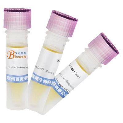 anti-beta-Amyloid (1-42)Monoclonal antibody(6F8) 单克隆抗体