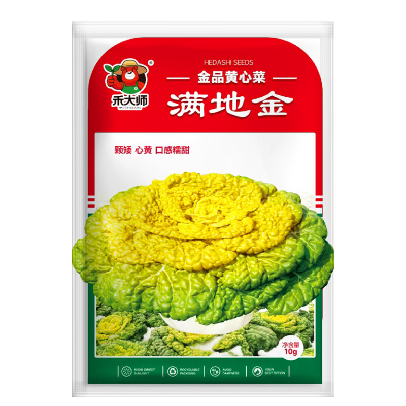 正宗黄金乌塌菜种子耐寒高产