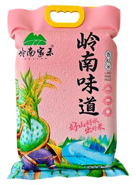 香粘米丝苗米岭南大米长粒香米籼米优质新米5kg10斤真空包装