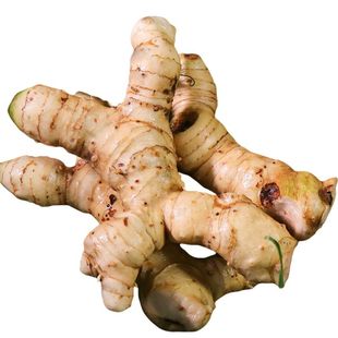 老农民现挖老黄精新鲜老虎姜鸡头参大黄姜精品大黄精煲汤泡酒食材