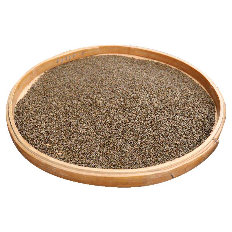 农家野生决明子熟决明子茶草决明