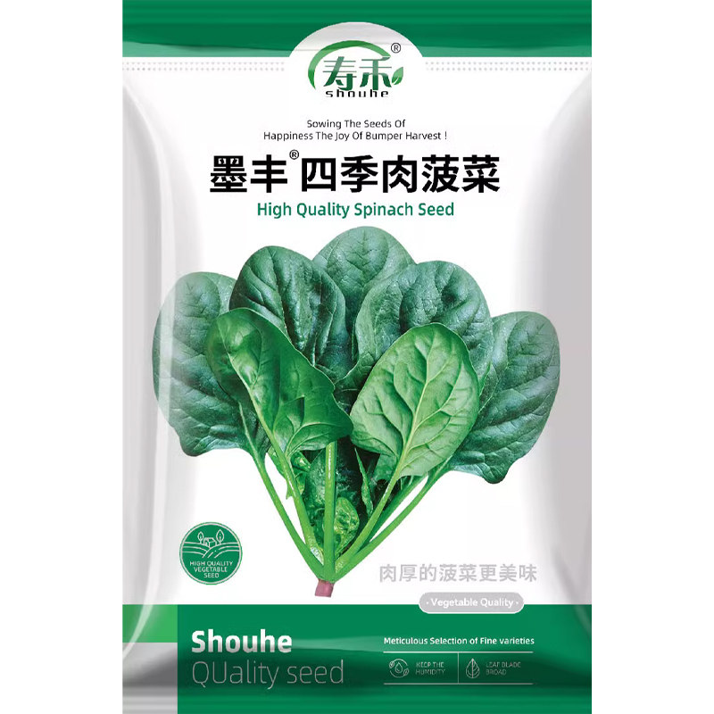 四季红根菠菜种子秋冬季秋后籽儿冬季种籽圆叶籽种波菜孑菜籽波莱