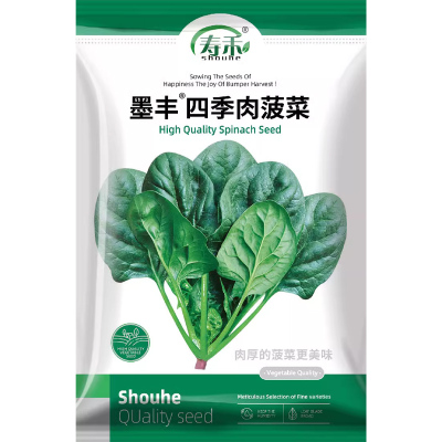四季肉菠菜菠菜种子寿禾