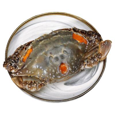 宁波精品红膏呛蟹鲜活蟹腌制净重