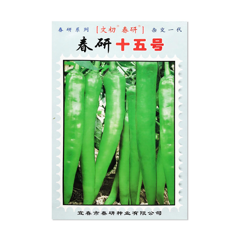 春研十五号辣椒种子长羊角椒