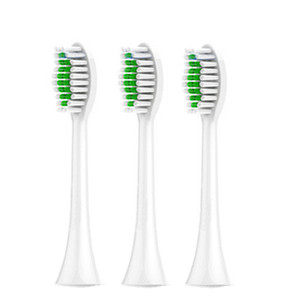 适用康泰健格莱美/萌牙家星语X6电动牙刷头KDY-1901pro/多希尔D5