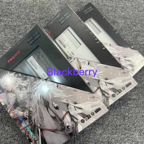 阿斯加特（Asgard）48GB(24GBx2) DDR5