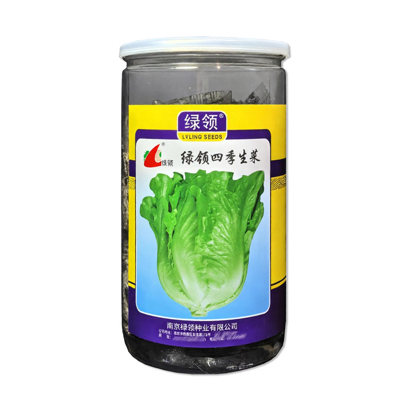 绿领四季生菜种子蔬菜种子