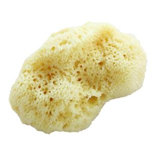 B级地中海天然丝绒海绵洗泥面膜卸妆洁面扑敏感肌儿童洗脸海藻棉