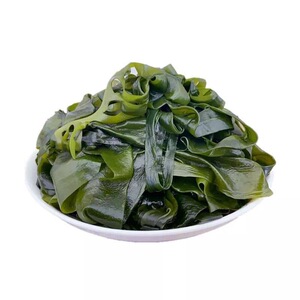 盐渍裙带菜大连特产海白菜海藻菜海带裙带菜凉拌菜麻辣烫火锅食材
