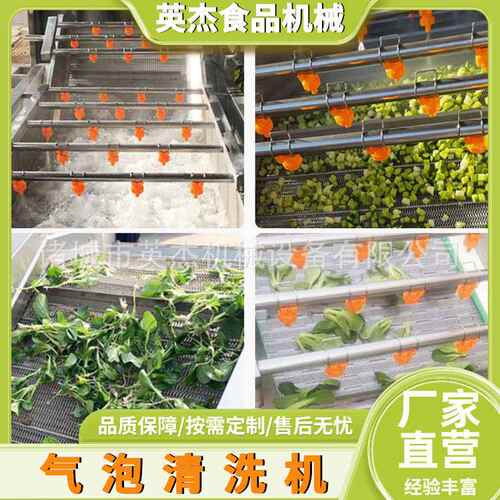果蔬气泡清洗机 水果蔬菜清洗设备 全自动大型商用连续叶类洗菜机
