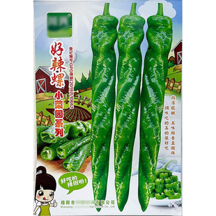 好辣螺大长螺丝椒辣椒蔬菜种子孑籽杂交高产别名皱皮椒猪大肠辣椒