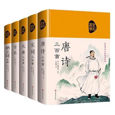 诗词大全注释翻译赏析彩绘版布面