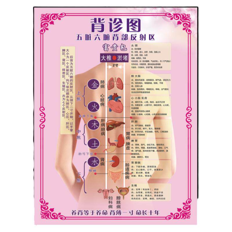 背诊图美容院海报定制中医养生