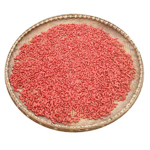 苟枸子佝杞正宗特级宁夏甘肃野生红枸杞子泡茶中药材250g泡酒黄芪