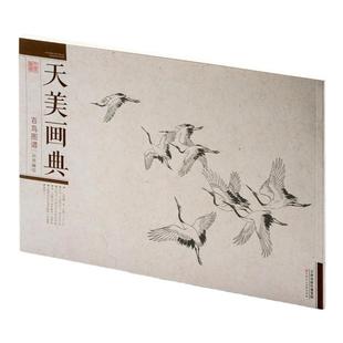 官方旗舰店 天美画典百鸟图谱百雀图谱王满良孙其峰花鸟画传统技法解析教程线描白描底稿中国画临摹绘画教材初学国画动物 天津人美