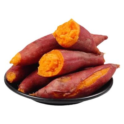 西口蜜西瓜红蜜薯安徽红心番薯