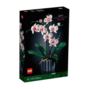 LEGO乐高花植郁金香百合10311兰花拼搭积木桌面摆件礼物2026新款