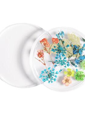 ins日系美甲干花饰品天然永生花