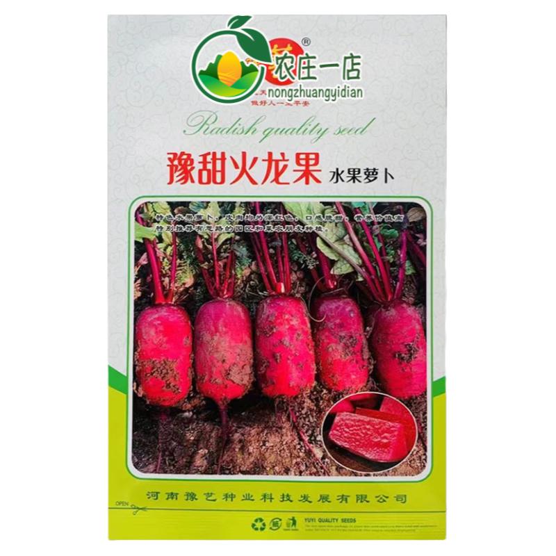 生吃味甜可以做水果红心萝卜种子