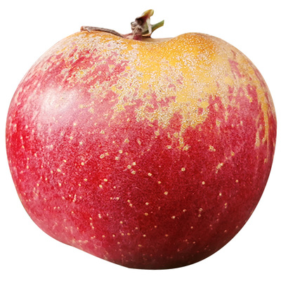 【冰糖心不打蜡】大凉山丑苹果！