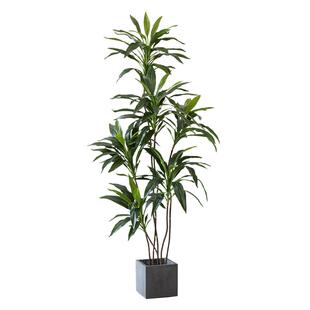 森空间绿植仿真室内角落造景盆栽装饰北欧风客厅假花摆件仿真绿植