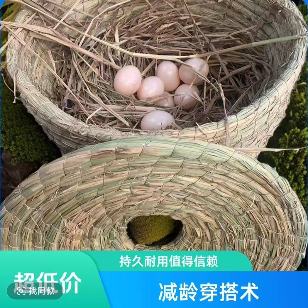 防啄蛋鸡窝防老母鸡吃蛋神器鸡生蛋窝直径42公分左右保暖新款下蛋