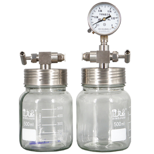 实验室样品保存携带迷你干燥器带负压表金属针阀玻璃密封罐真空罐